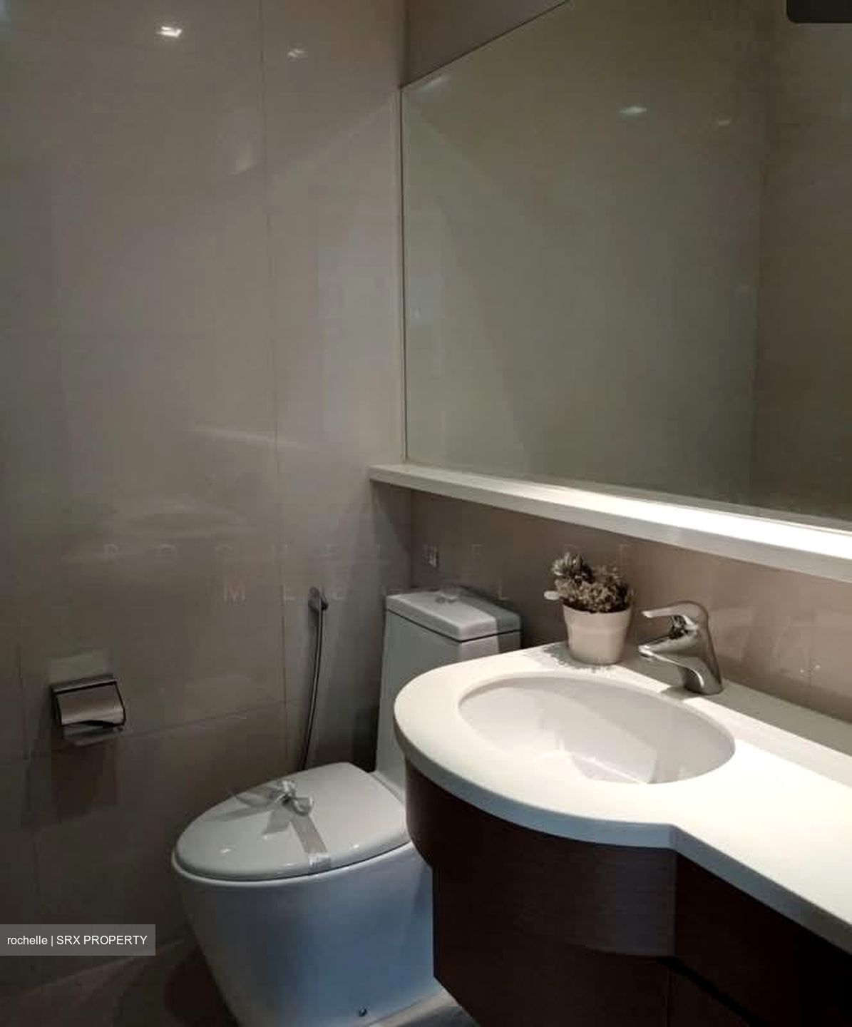Nassim Regency (D10), Condominium #597111681